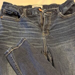 BKE gabby jeans skinny leg sz 29x31.5
